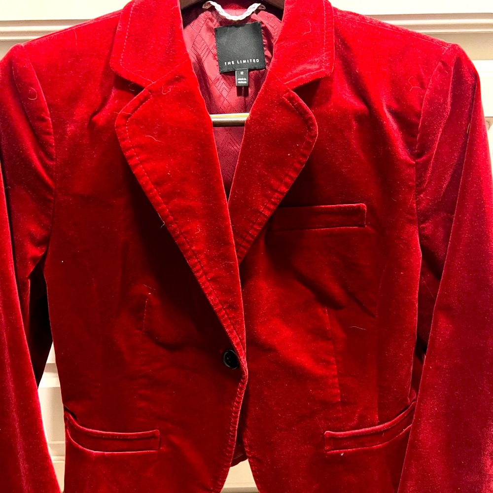 Red Velvet Blazer from The Limited!  Size Large.